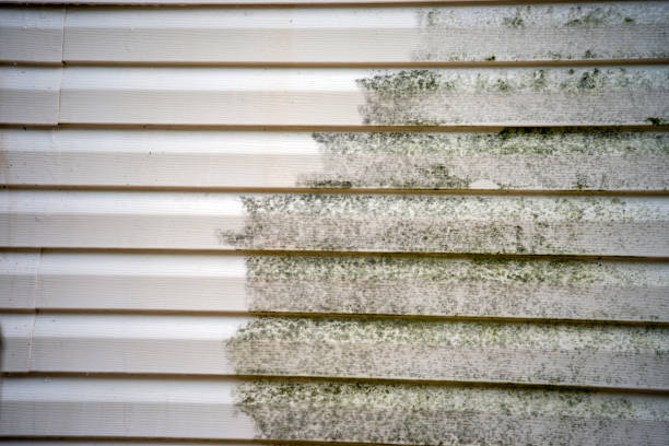 Best Same-Day Junk Removal Services  in Cleveland, MS